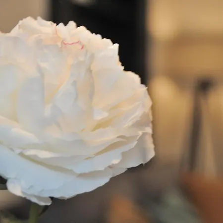 La Rosa * Вайсенсберг