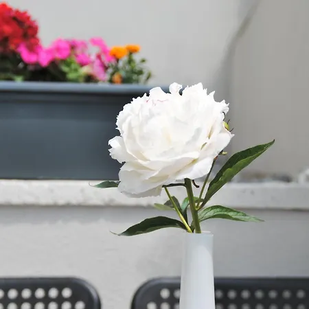 La Rosa Апартаменты *